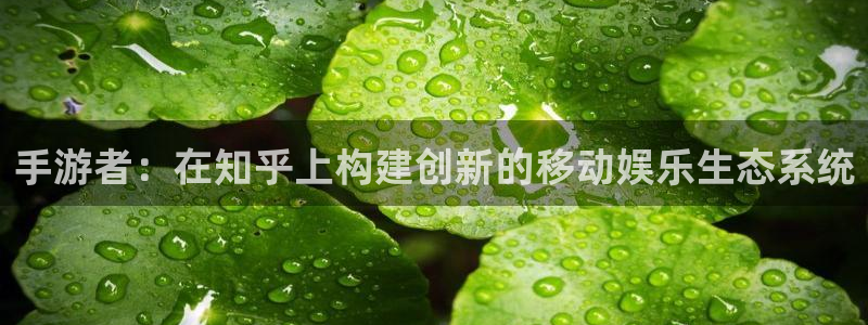 火狐电竞PC官网：手游者：在知乎上构建创新的移动娱乐生态系统