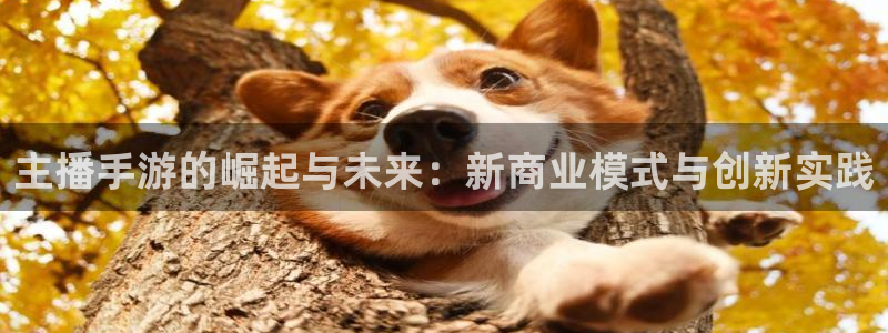 大神加拿大pc28官方开奖预测走势：主播手游的崛起与未来：新