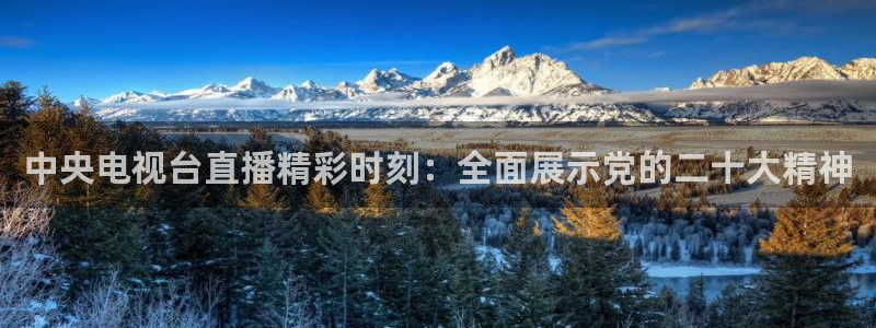 斗球直播app下载官网最新版