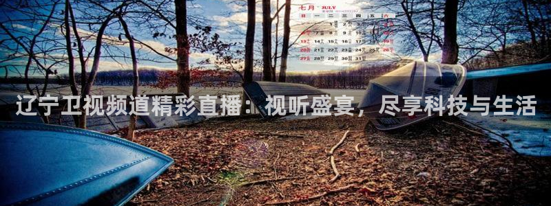 斗球直播安卓版：辽宁卫视频道精彩直播：视听盛宴，尽享科技与生活