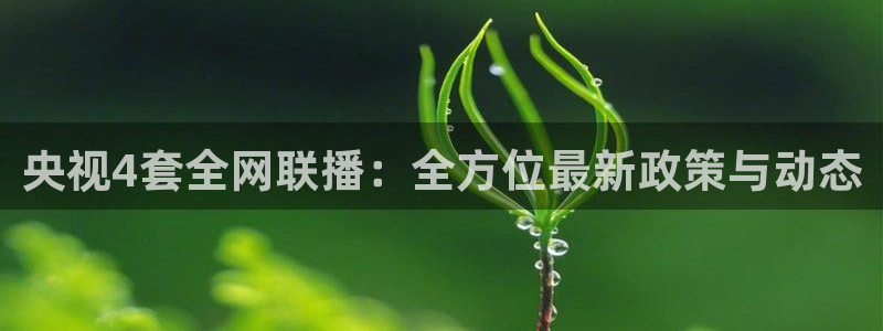 斗球体育苹果下载：央视4套全网联播：全方位最新政策与动态