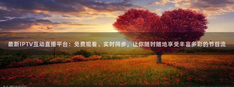斗球体育直播app下载电脑版：最新IPTV互动直播平台：免费观看、实时同步，让你随时随地享受丰富多彩的节目流