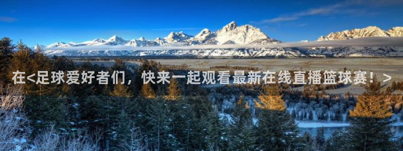 斗球直播网页版：在<足球爱好者们，快来一起观看最新在线直播篮球赛！>
